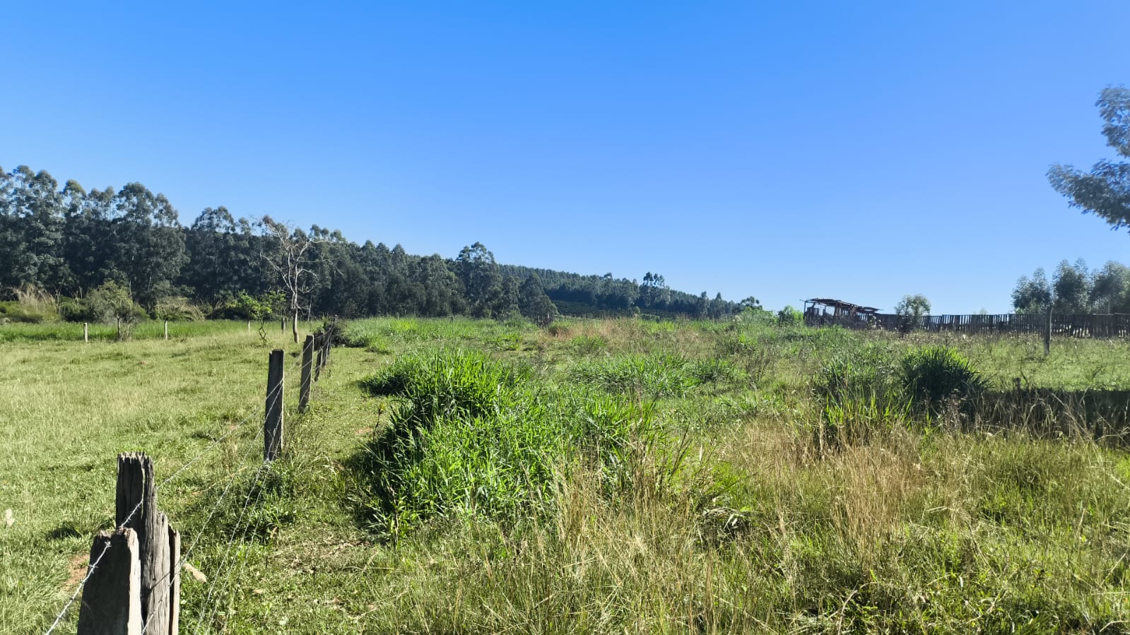 Foto do imóvel IMO-029